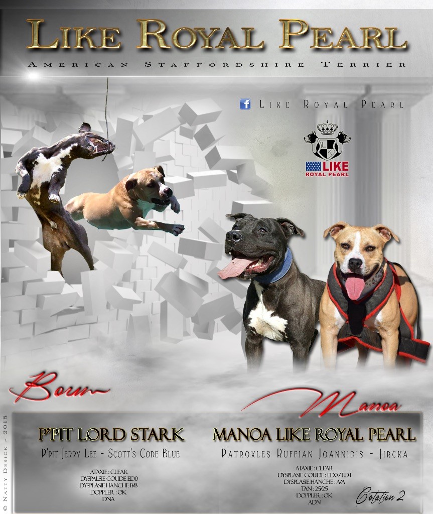 MARIAGE Manoa LIKE ROYAL PEARL & P'PIT lord stark